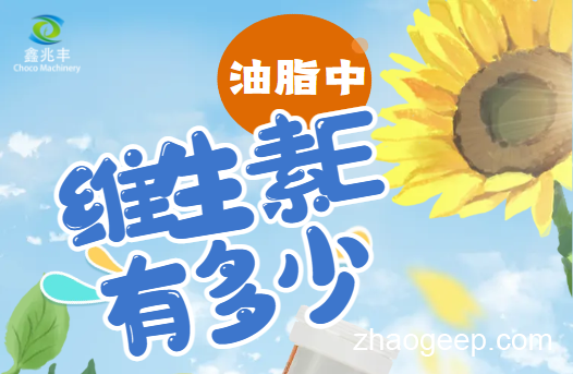 兆格分享：全自動液壓榨油機 維生素E是什么？什么食用油含維生素E高？